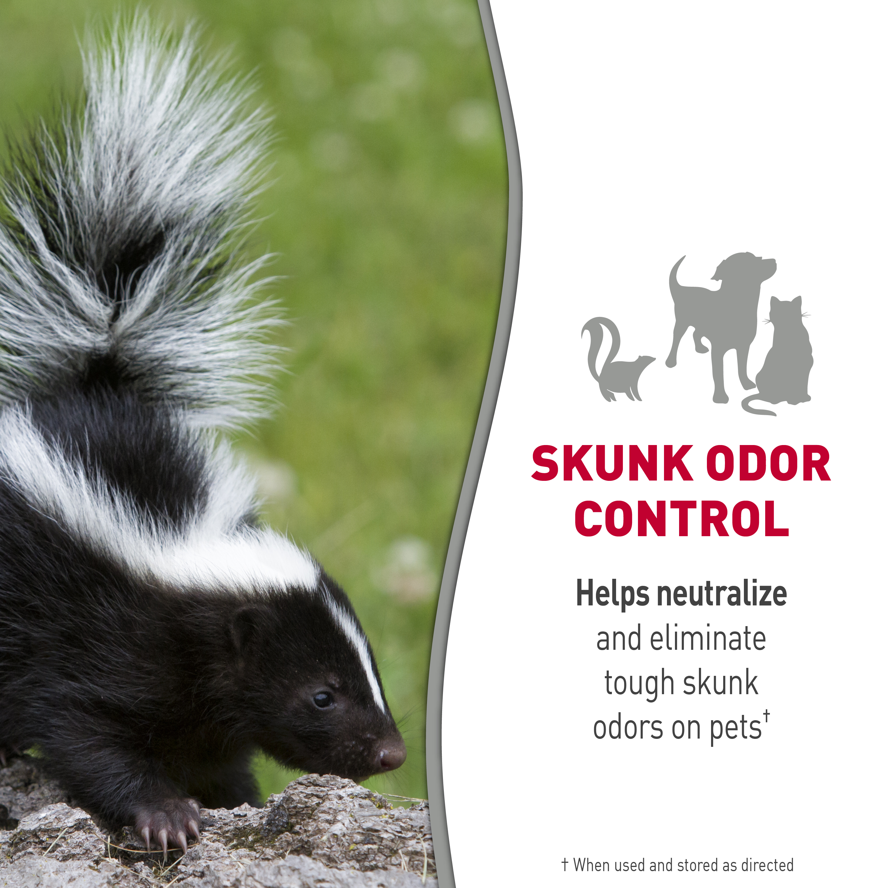 Skunk removal shampoo cheap